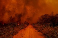 Comissão externa do Pantanal sugeriu brigadas permanentes para o combate a incêndios