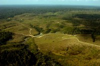 Preservação da Amazônia esteve em debate no Senado em 2020
