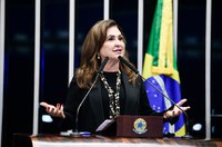 Kátia Abreu sugere que Senado oferte educação formal a vereadores