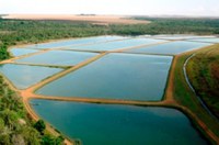 Pequenas empresas aquícolas podem ser liberadas de licenciamento ambiental