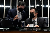 Senado aprova que estados, municípios e setor privado comprem vacinas contra a covid-19