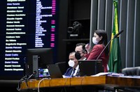 Congresso Nacional votou 29 vetos do presidente da República