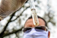 Envio de material genético ao exterior durante epidemia será simplificado