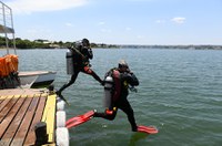 Projeto prevê regulamentação da profissão de mergulhador profissional
