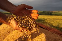 Futuro da produção agrícola será tema de debate da CSF nesta sexta-feira