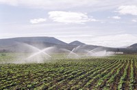 Política Nacional de Irrigação é tema de debate da CDR