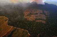 CTFC debate desmatamento na Amazônia
