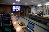 CRA aprova selo verde para cultura do cacau; projeto volta à Câmara