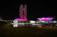 Iluminação roxa do Congresso lembra os 15 anos da Lei Maria da Penha