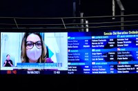 Senado aprova proibição de armas para agressores de mulheres, crianças e idosos