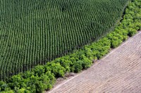 CRE debate a sustentabilidade do agronegócio e seus efeitos para a imagem do Brasil