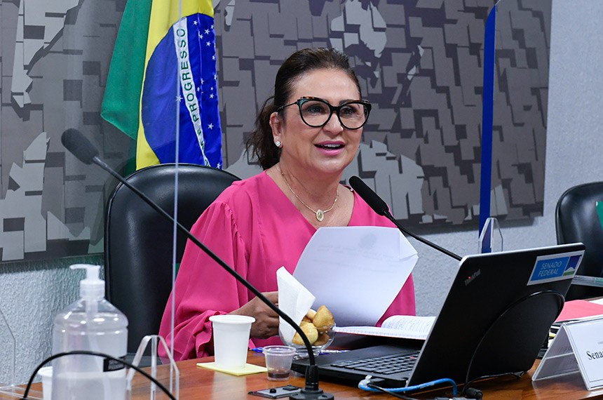 A senadora Kátia Abreu (PP-TO), presidente da Comissão de Relações Exteriores, organizou o ciclo de debates