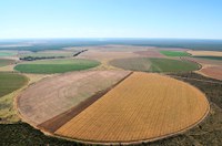 CRA debaterá na quinta rede integrada de pesquisas agropecuárias