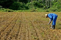 Sistema de informações sobre pesquisa agropecuária é tema de debate na CRA