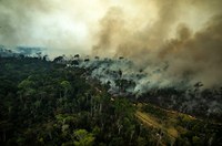 CMA votará alterações na política nacional de combate e prevenção a incêndios florestais