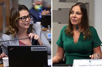 CDH debaterá  violência contra a mulher com deficiência