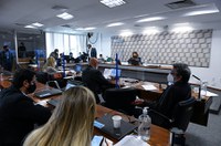 Projeto aprovado na CE concede a Medicilândia, no Pará, o título de Capital Nacional do Cacau