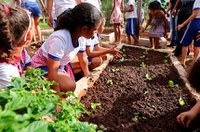 CE debaterá o desmonte da Política Nacional de Educação Ambiental nesta terça