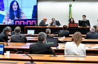 CMO aprova relatório do Comitê de Admissibilidade de Emendas