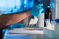 Covid-19: projeto criminaliza aumentos abusivos em preços de testes