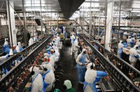 Participação de trabalhador em gestão de grande empresa está na pauta da CAS