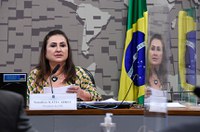 Comissão de Relações Exteriores condena conflito na Ucrânia