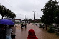 Seguro-desemprego para vítimas de desastres ambientais está na pauta da CAS