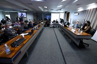 Audiência na CMA aponta capacidade existente para reduzir desmatamento