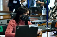 Frente do Desarmamento será instalada nesta terça