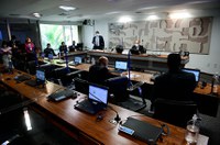 Cidadania e combate à corrupção podem entrar no currículo da educação básica