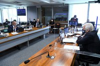 CMA analisa projetos que tratam de penas por dano ambiental