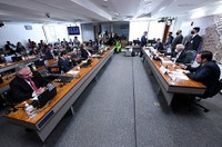 CAE aprova duas indicações para o Cade, que vão ao Plenário