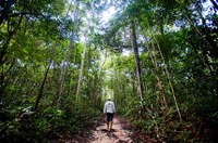 CMA busca informações sobre situação de fundo da biodiversidade