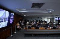 Polêmica sobre conselhos de educação física volta à pauta da CAS