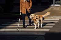 Projeto sobre cães de apoio emocional para pessoas com deficiência vai à Câmara