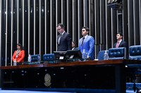 Senado presta voto de pesar pelo falecimento da neta do senador Paulo Paim