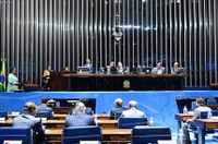 Serviço civil voluntário está na pauta do Plenário