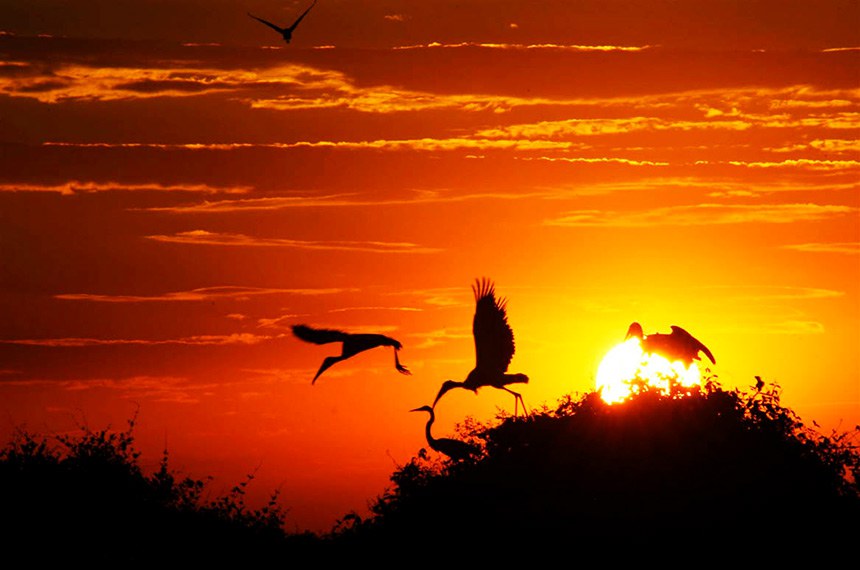 Pôr-do-sol no Pantanal Matogrossense