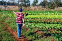 Projeto prevê insumos e assistência técnica a agricultores do Alimenta Brasil