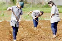 Vetado projeto que permitiria ensino rural dividido entre teoria e prática