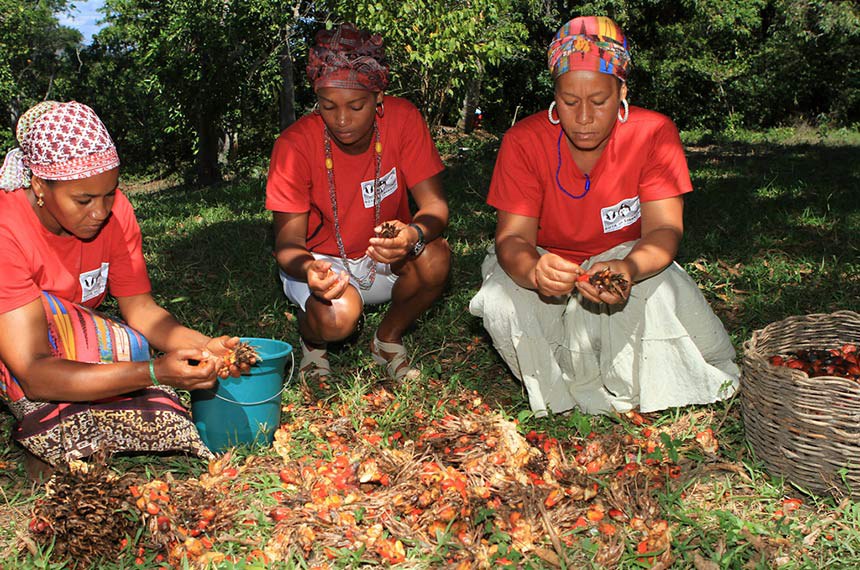 Mulheres separam sementes de dendê, na comunidade quilombola Kaonge, em Cachoeira (BA). (Foto: Tatiana Azeviche/Setur-BA)