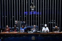 Participantes de sessão celebram resultados e pedem aprimoramento da Lei de Cotas