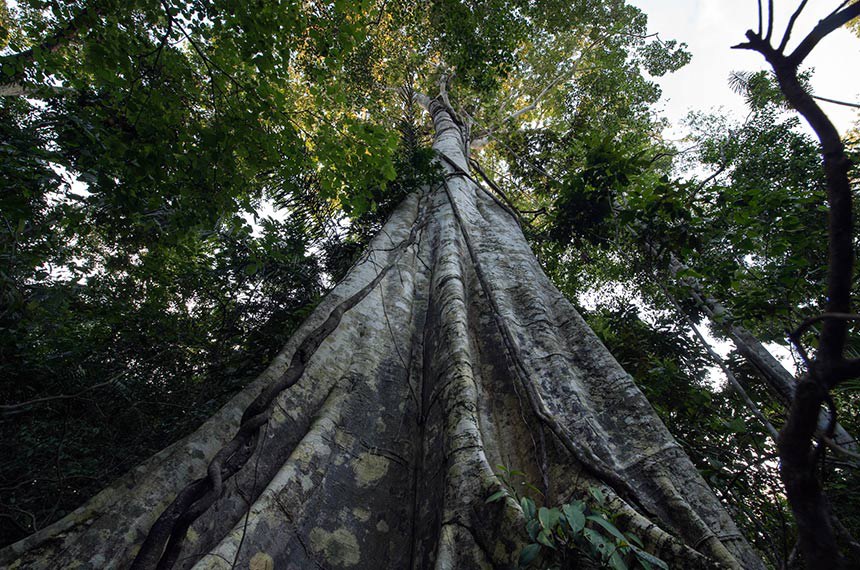 2º Encontro Etnoambiental da Frente de Proteção Uru Eu Wau Wau - Bananeiras