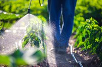 CRA vota projeto que muda autorização para agrotóxicos