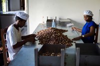 CAE vai debater direitos de trabalhadores em cooperativas