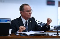 Produtores pedem que governo valorize cacau brasileiro