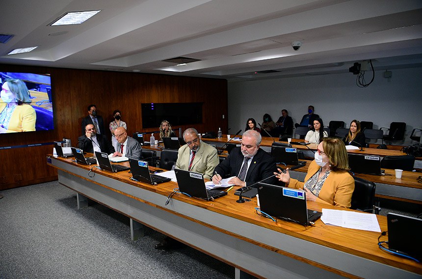 Bancada:
senador Esperidião Amin (PP-SC);
senador Paulo Paim (PT-RS); 
senador Jean Paul Prates (PT-RN);
senadora Zenaide Maia (Pros-RN).