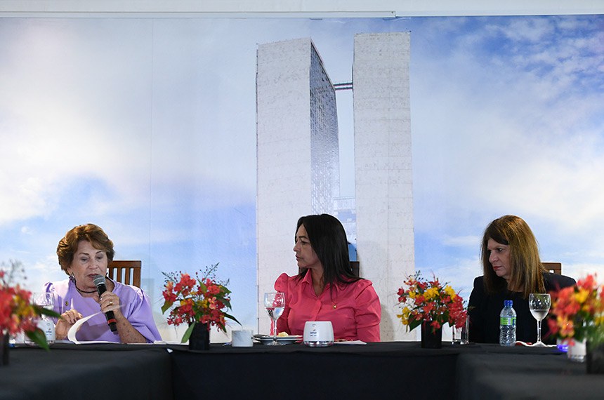 (E/D):
senadora Nilda Gondim (MDB-PB);
líder da Bancada Feminina no Senado Federal, senadora Eliziane Gama (Cidadania-MA);
diretora-geral do Senado Federal, Ilana Trombka.