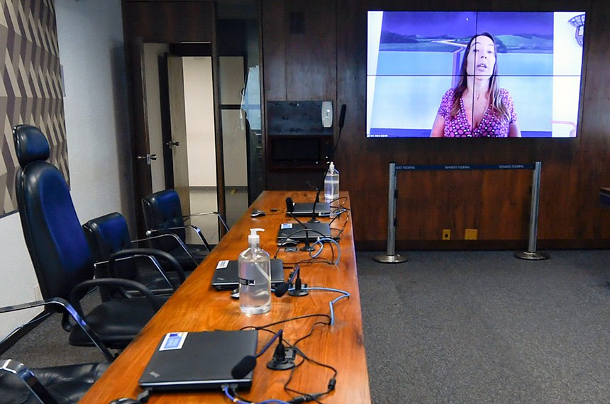 Requerente desta audiência, senadora Mara Gabrilli (PSDB-SP), preside sessão remotamente.