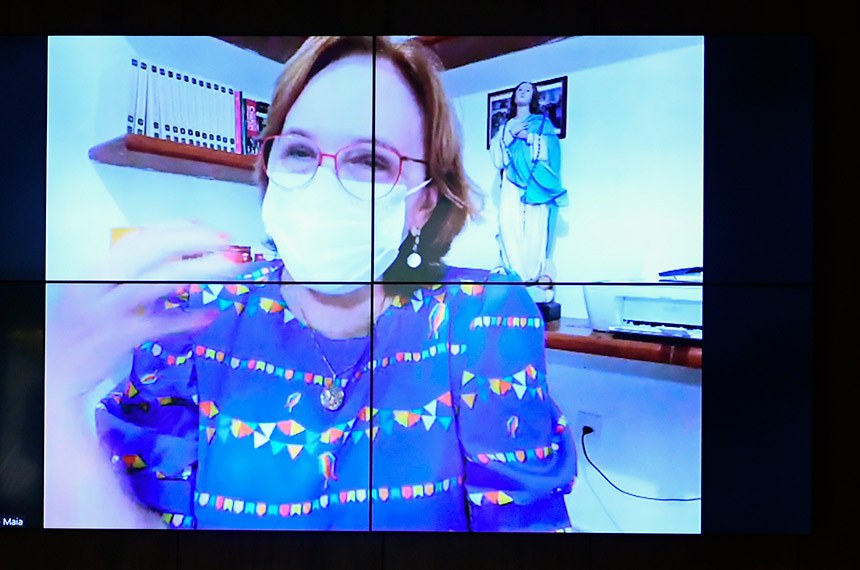 Em pronunciamento via videoconferência, senadora Zenaide Maia (Pros-RN).